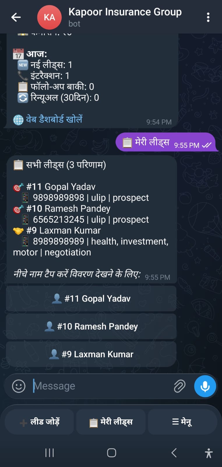 Telegram Bot - Leads
